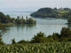 Lake Constance Wall Decal