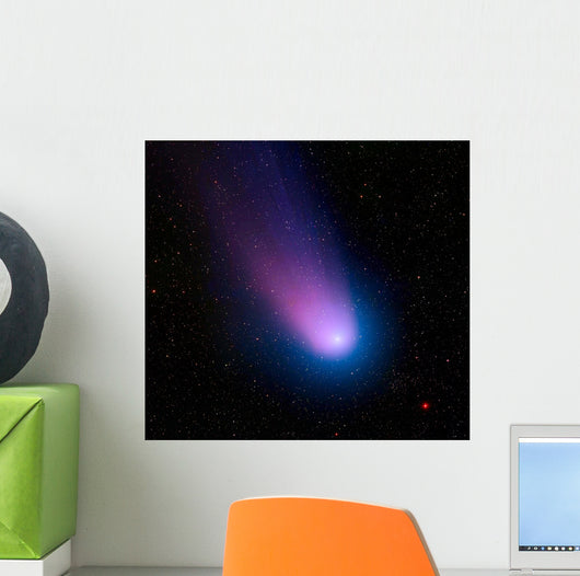 Celestial Objects Wall Decal