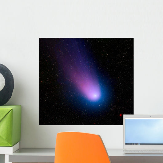 Celestial Objects Wall Decal