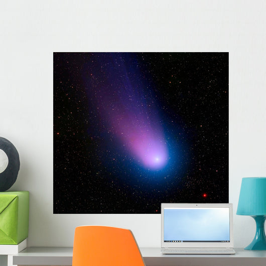 Celestial Objects Wall Decal