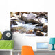 Mountain Stream Wall Decal Design 1
