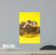 Baby African Fat-tailed Gecko Wall Decal