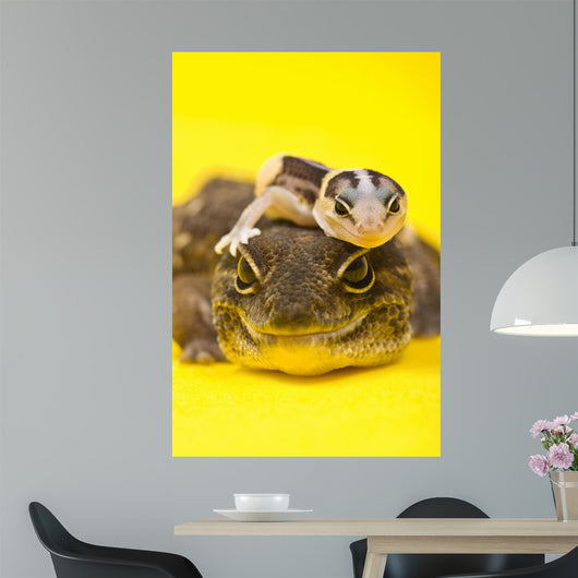 Baby African Fat-tailed Gecko Wall Decal