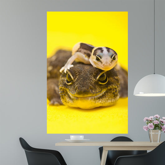 Baby African Fat-tailed Gecko Wall Decal