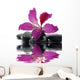 Reflection for Black Pebbles Wall Decal