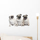 Three Pug Puppies Wall Decal