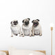 Three Pug Puppies Wall Decal