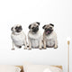 Three Pug Puppies Wall Decal