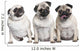 Three Pug Puppies Wall Decal