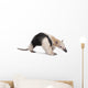 Collared Anteater Tamandua Tetradactyla Wall Decal