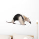 Collared Anteater Tamandua Tetradactyla Wall Decal