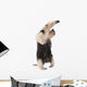 Collared Anteater Wall Decal Design 2