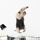 Collared Anteater Wall Decal Design 2