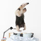 Collared Anteater Wall Decal Design 2
