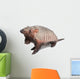 Armadillo Dasypodidae Cingulata Wall Decal