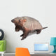 Armadillo Dasypodidae Cingulata Wall Decal