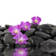 Purple Orchid and Black Wall Decal
