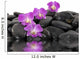 Purple Orchid and Black Wall Decal