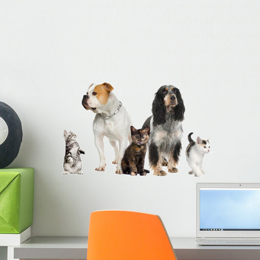 Group Pets Dogs and Wall Decal