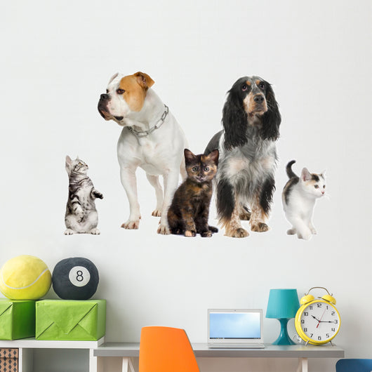 Group Pets Dogs and Wall Decal