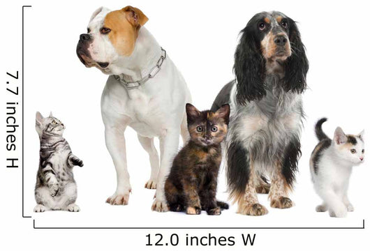 Group Pets Dogs and Wall Decal
