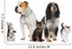 Group Pets Dogs and Wall Decal