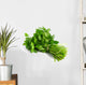 Bouquet Parsley White Wall Decal