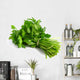 Bouquet Parsley White Wall Decal