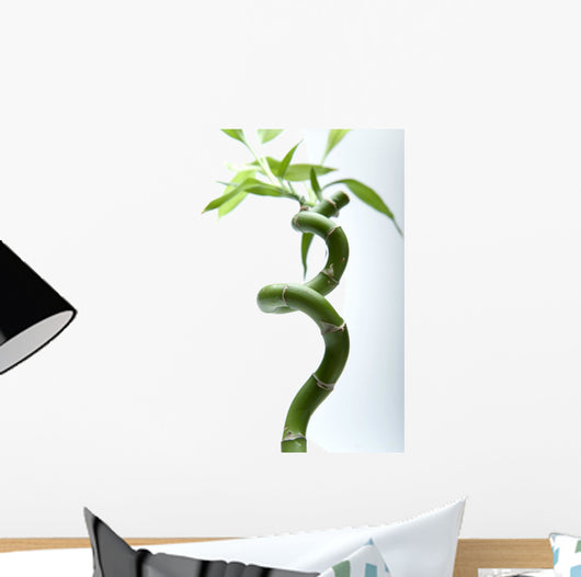 Lucky Bamboo Leaves and Wall Decal