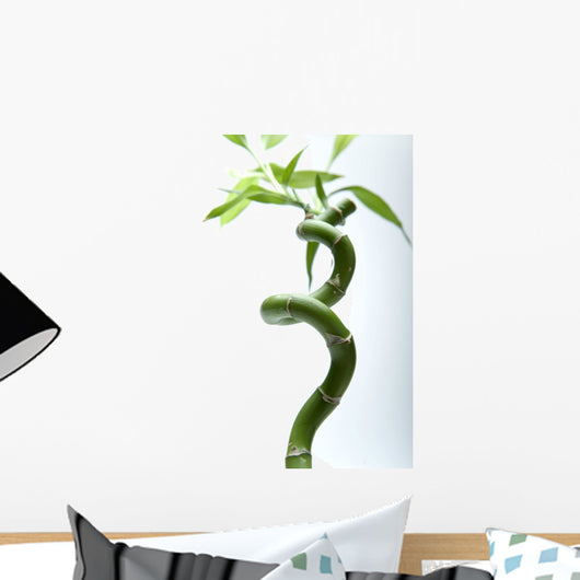 Lucky Bamboo Leaves and Wall Decal