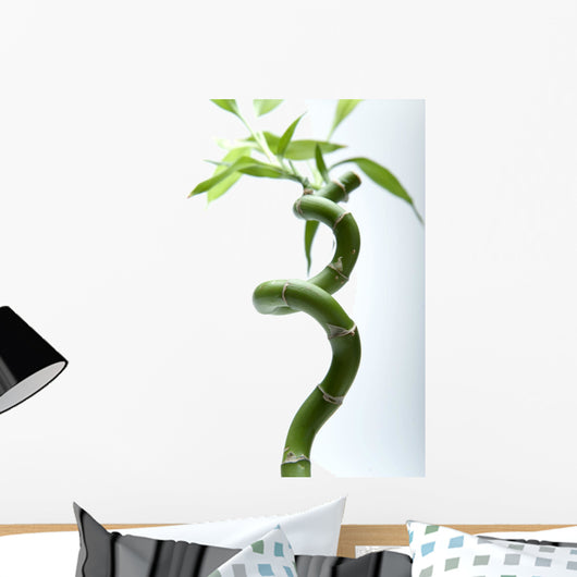 Lucky Bamboo Leaves and Wall Decal
