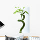 Lucky Bamboo Leaves and Wall Decal