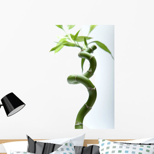 Lucky Bamboo Leaves and Wall Decal