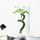 Lucky Bamboo Leaves and Wall Decal