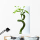 Lucky Bamboo Leaves and Wall Decal