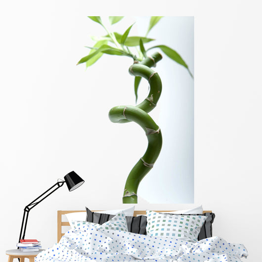 Lucky Bamboo Leaves and Wall Decal
