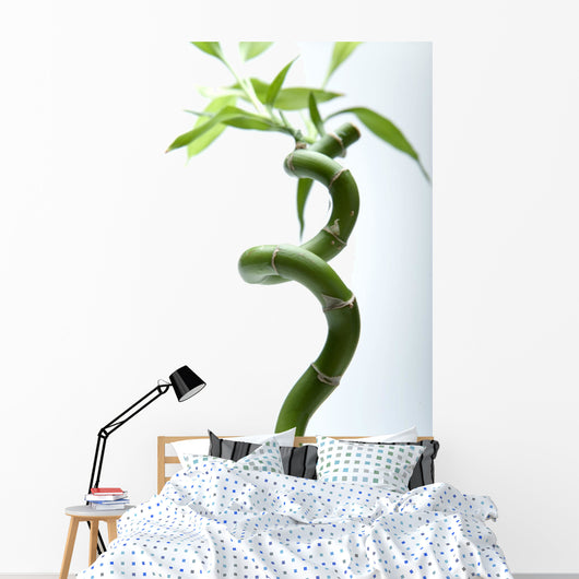 Lucky Bamboo Leaves and Wall Decal