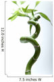 Lucky Bamboo Leaves and Wall Decal