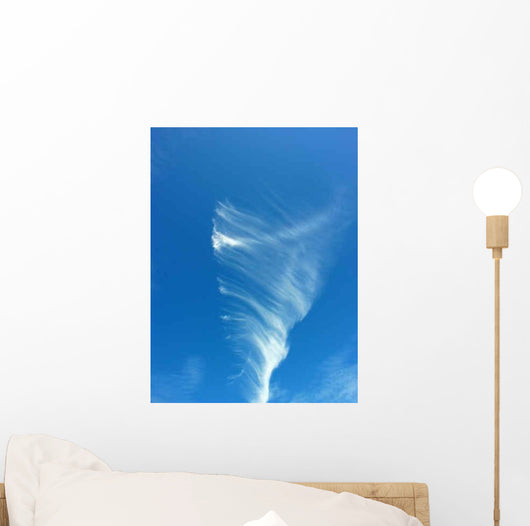 Cloud Vortex Wall Decal
