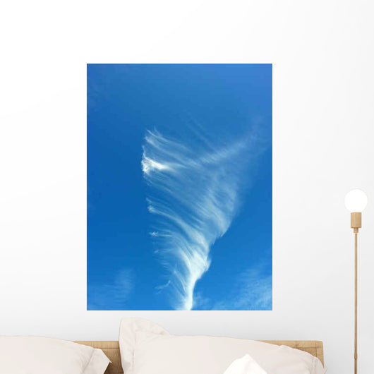 Cloud Vortex Wall Decal