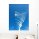 Cloud Vortex Wall Decal