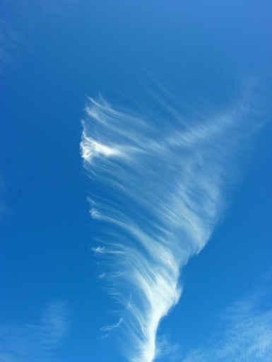 Cloud Vortex Wall Decal