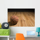 Basketball Wall Mural