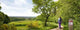 Leisure Gt  Nature Wall Decal