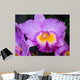 Cattleya Orchid Wall Decal
