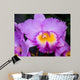 Cattleya Orchid Wall Decal