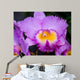 Cattleya Orchid Wall Decal