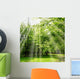 Forest Campaign Gt  Wall Decal