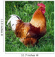 Rooster Wall Decal