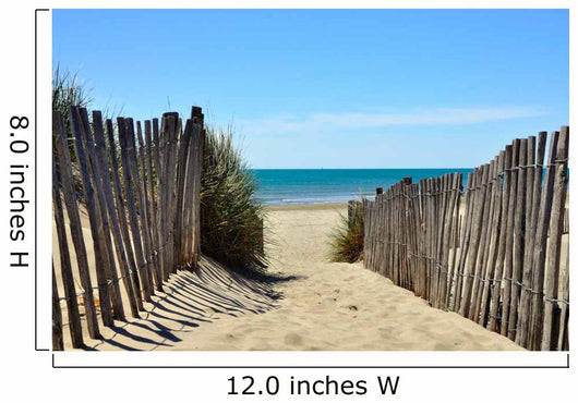 Path to Beach Wall Decal